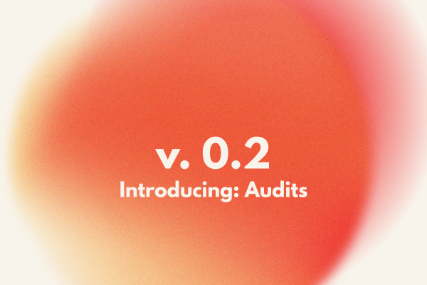 Introducing Security Audits